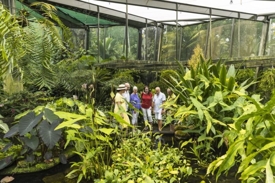 Cairns: Cairns City Sights & Surrounds Half Day Tour - Practical Details and Value
