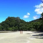 Cairns: Cape Tribulation, Beaches, Crocs & Swimming Day Tour - The Value of the Tour