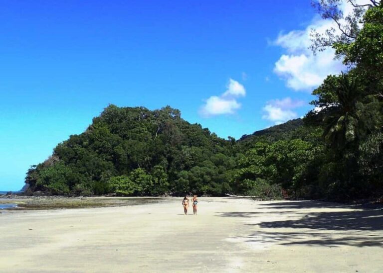 Cairns: Cape Tribulation, Beaches, Crocs & Swimming Day Tour - The Value of the Tour