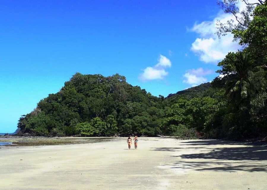 Cairns: Cape Tribulation, Beaches, Crocs & Swimming Day Tour - The Value of the Tour