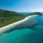 Cairns: Cape Tribulation, Daintree, Mossman and Port Douglas - The Value of This Tour