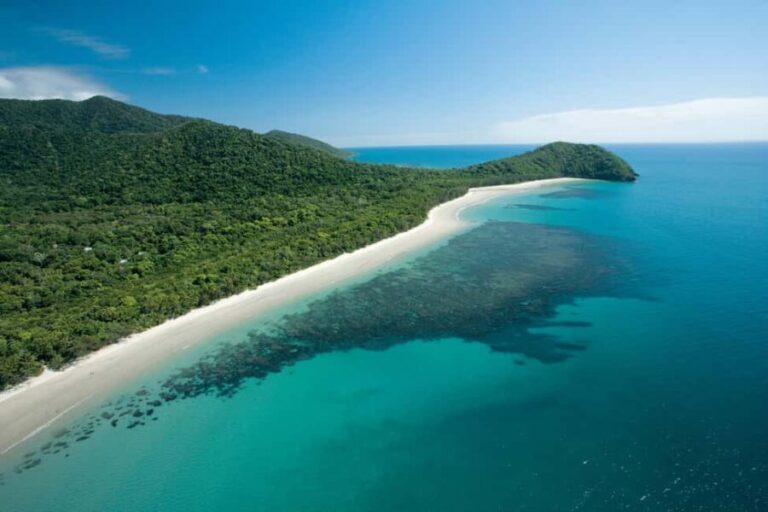 Cairns: Cape Tribulation, Daintree, Mossman and Port Douglas - The Value of This Tour