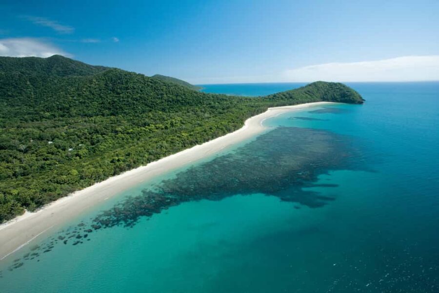 Cairns: Cape Tribulation, Daintree, Mossman and Port Douglas - The Value of This Tour