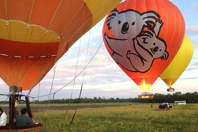 Cairns Classic Hot Air Balloon + Lemoncello - Logistics and Practical Details