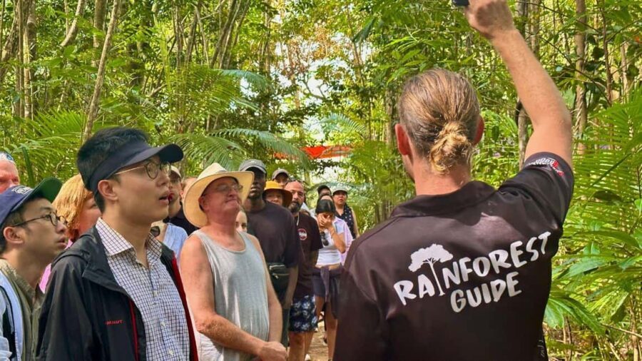 Cairns: Daintree Rainforest and Mossman Gorge Tour - Practical Details and Experience Quality
