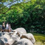 Cairns: Daintree Rainforest & Cape Tribulation Day Trip - Transportation, Pace, and Group Dynamics