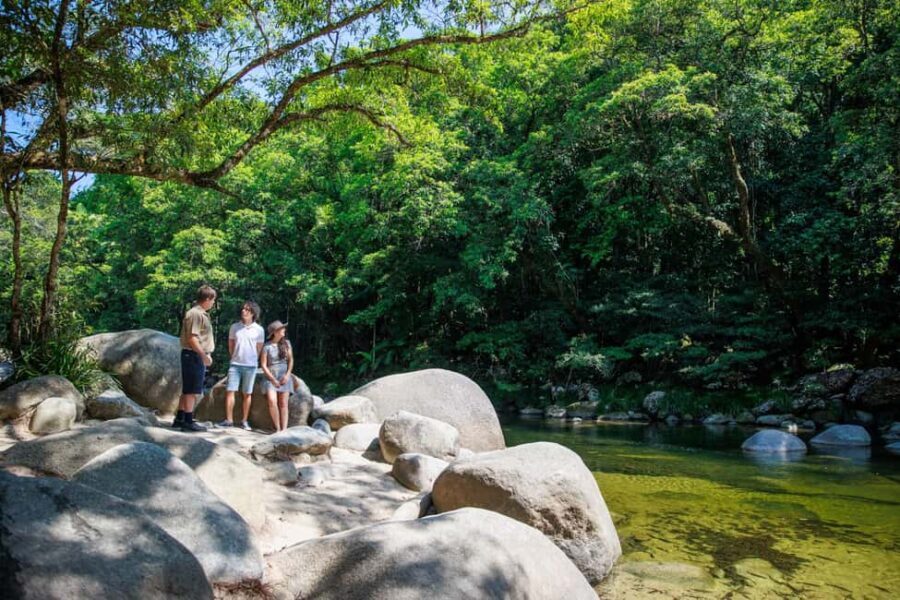 Cairns: Daintree Rainforest & Cape Tribulation Day Trip - Transportation, Pace, and Group Dynamics