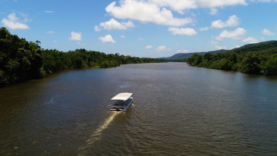 Cairns: Daintree Rainforest Wildlife Experience Cruise - Practical Details and Tips