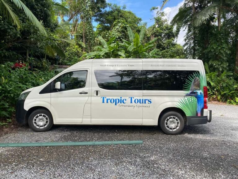 Cairns: Daintree River Cruise and Mossman Gorge - The Practicalities: What’s Included and What to Consider