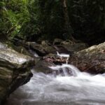 Cairns Day Tour Private Waterfall - Why You’ll Love the Experience