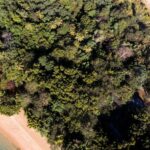 Cairns: Explore Dunk Island Day Tour - Trekking and Scenic Trails