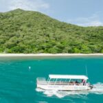 Cairns: Fitzroy Island Ferry w/ Snorkel, Lunch, Tour Options - What to Expect on Your Fitzroy Island Day Trip