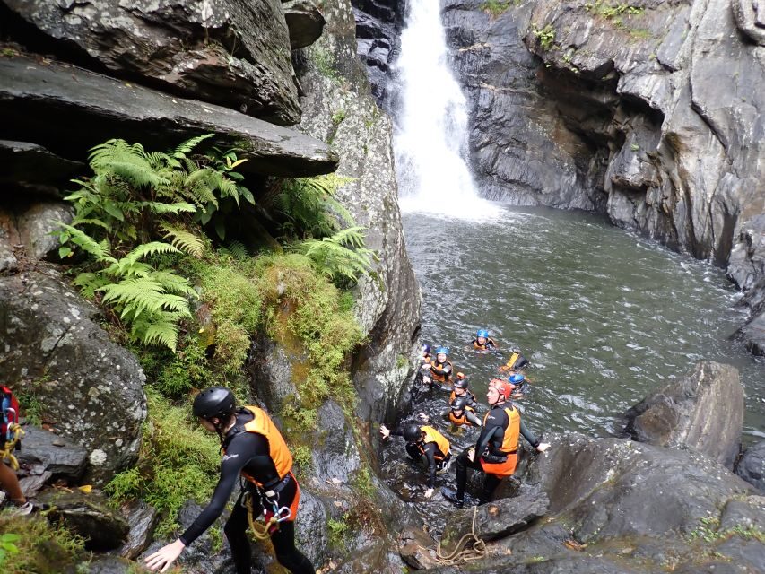 Cairns Full-Day Canyoning Adventure tour - What Makes This Tour Stand Out