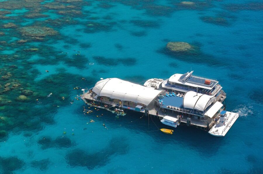 Cairns: Full Day Great Barrier Reef Pontoon Experience - Deep Dive into the Experience