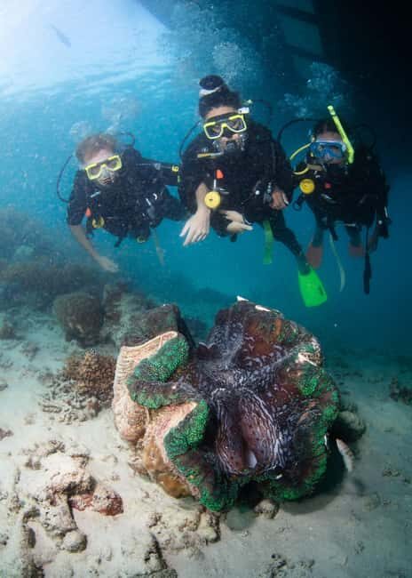 Cairns: Great Barrier Reef Cruise & 10 Minute Helicopter - The Sum Up