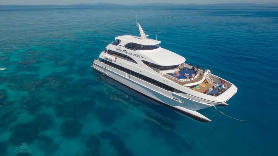 Cairns: Great Barrier Reef Cruise & Scenic Helicopter Flight - The Value of This Tour