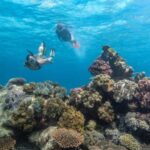Cairns: Great Barrier Reef Full-Day Tour - Who Should Choose This Tour?