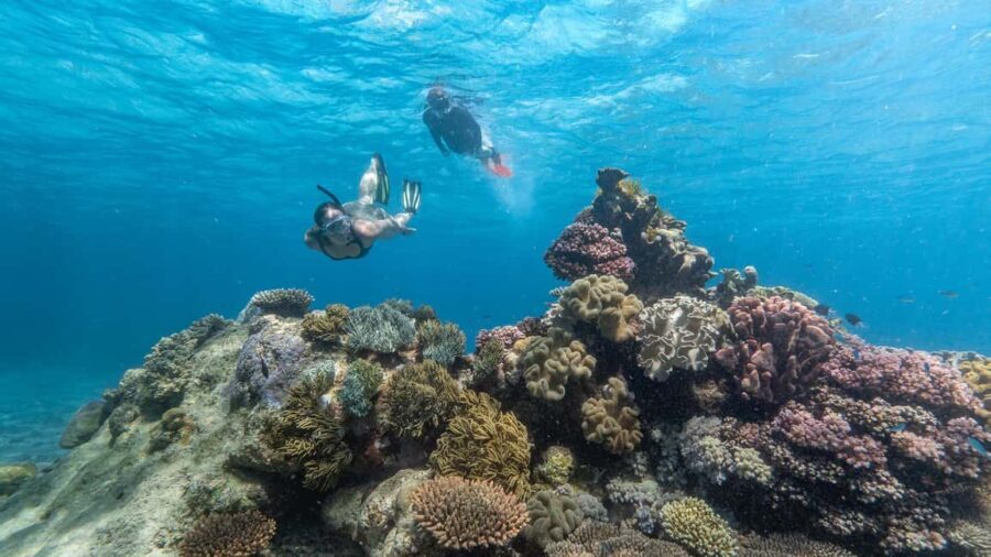 Cairns: Great Barrier Reef Full-Day Tour - Who Should Choose This Tour?