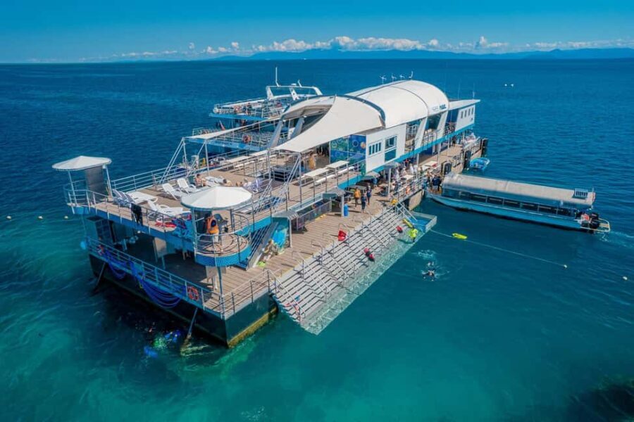 Cairns: Great Barrier Reef Pontoon with Water Activities - Water Activities: Snorkeling, Semi-Sub, and Helmet Dives