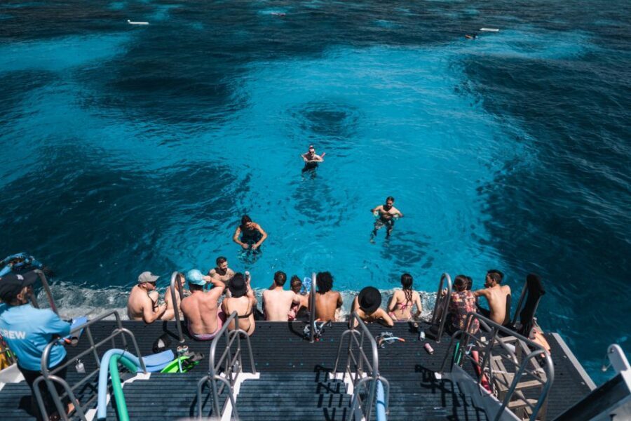 Cairns: Great Barrier Reef Snorkeling Cruise with Lunch - The Itinerary: What You’ll Experience