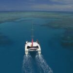 Cairns: Great Barrier Reef Snorkeling Tour with Lunch - Who Would Love This Tour?