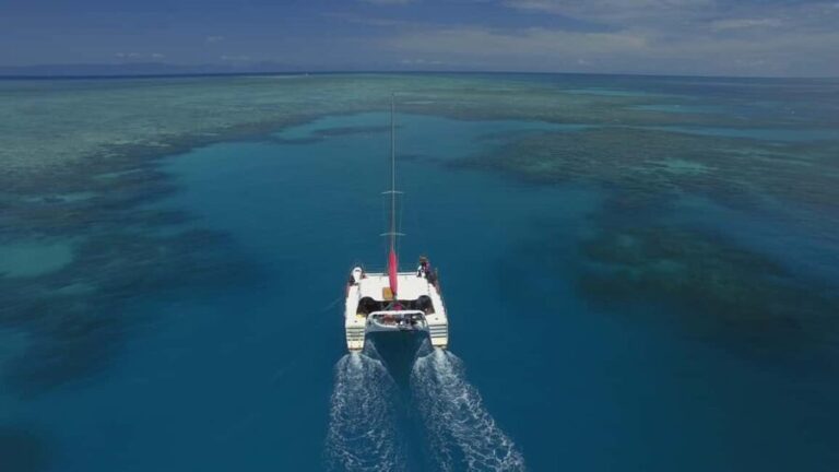 Cairns: Great Barrier Reef Snorkeling Tour with Lunch - Who Would Love This Tour?