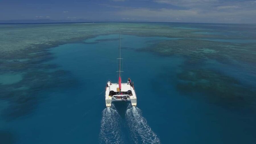 Cairns: Great Barrier Reef Snorkeling Tour with Lunch - Who Would Love This Tour?