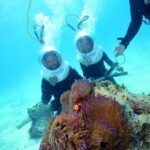 Cairns: Green Island and Seawalker Helmet Dive Combo - The Itinerary: What to Expect on the Day