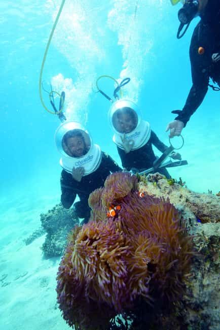 Cairns: Green Island and Seawalker Helmet Dive Combo - The Itinerary: What to Expect on the Day