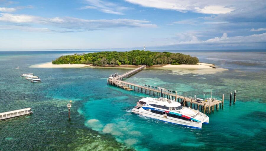 Cairns: Green Island + Moore Reef Activity Platform Combo - What You Need to Know