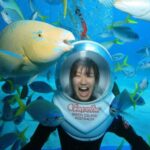 Cairns: Green Island Snorkelling or Glass Bottom Boat - Exploring the Island & Additional Activities