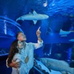 Cairns: Guided Twilight Tour of the Aquarium - What to Expect from the Cairns Twilight Tour