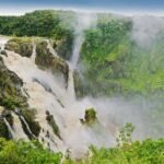 Cairns: Half-Day 4WD Rainforest & Waterfall Tour - What We Loved About This Tour