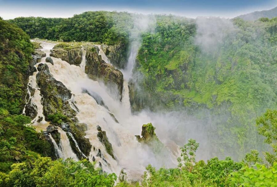Cairns: Half-Day 4WD Rainforest & Waterfall Tour - What We Loved About This Tour