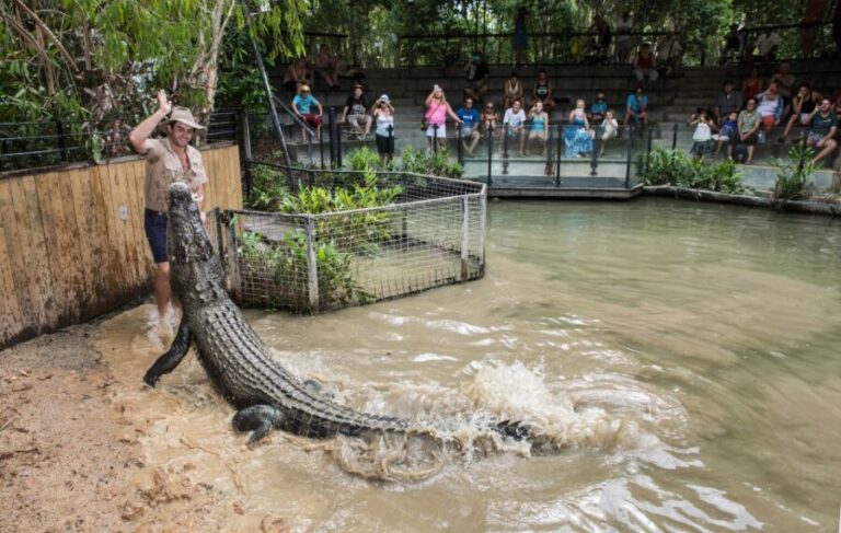 Cairns: Hartley's Crocodile Adventures Visit with Transfer - Why This Tour Delivers Value
