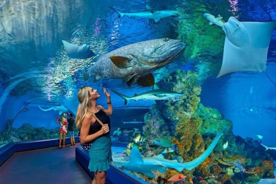 Cairns: Hot Air Balloon Flight & Cairns Aquarium Entry - What’s Included and What to Keep in Mind
