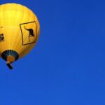 Cairns: Hot Air Balloon Flight with Transfers - Who Will Love This Experience?