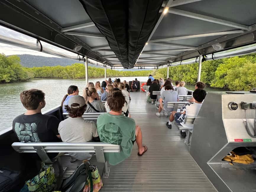 Cairns: Immersive Small Group Indigenous Cultural Experience - The Itinerary: What You Can Expect