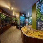 Cairns Koalas and Creatures Entry Ticket with Koala Photo - Exploring the Highlights and What to Expect