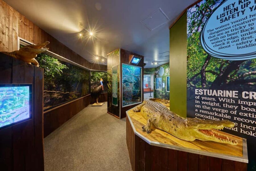Cairns Koalas and Creatures Entry Ticket with Koala Photo - Exploring the Highlights and What to Expect