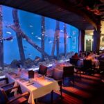 Cairns: Night at the Aquarium Guided Tour - Why This Tour Is Worth Considering