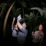 Cairns: Night Walk in Cairns Botanic Gardens - Why This Tour Offers Great Value