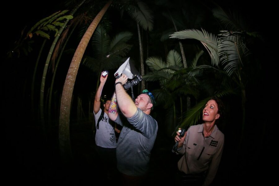 Cairns: Night Walk in Cairns Botanic Gardens - Why This Tour Offers Great Value