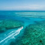 Cairns: Outer and Coral Cay Snorkel and Dive Cruise - Wonder Wall: A Reef Highlight