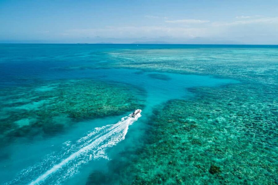 Cairns: Outer and Coral Cay Snorkel and Dive Cruise - Wonder Wall: A Reef Highlight