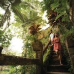Cairns: Paronella Park Rainforest Full-Day Tour with Dinner - Paronella Park: A Fairy Tale Come Alive