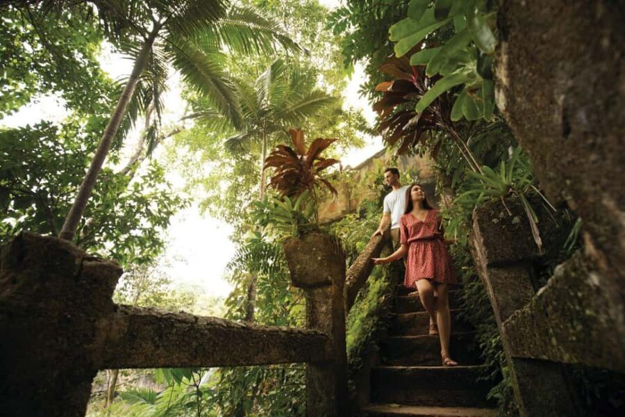 Cairns: Paronella Park Rainforest Full-Day Tour with Dinner - Paronella Park: A Fairy Tale Come Alive