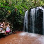 Cairns: Paronella Park Ticket - The Itinerary Breakdown: What to Expect