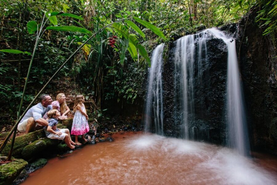 Cairns: Paronella Park Ticket - The Itinerary Breakdown: What to Expect