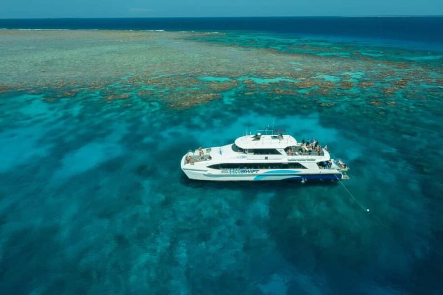 Cairns: Silverswift 3 Great Barrier Reef Sites in 1 Day - The Itinerary Breakdown